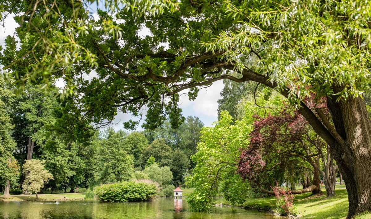 Elisabethpark Bad Liebenstein