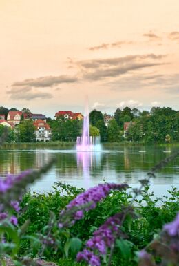 Landschaftsaufnahme mit Burgsee Bad Salzungen, bunt beleuchteter Fontäne und Blumen im Vordergrund