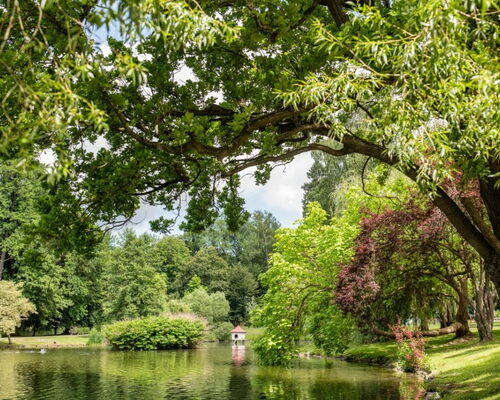 Elisabethpark Bad Liebenstein