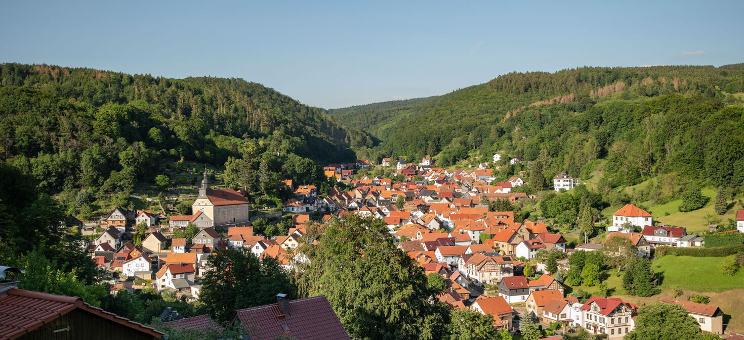 Panoramabild vom Berg aus auf Steinbachs Dachlandschaft