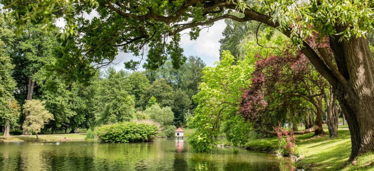Elisabethpark Bad Liebenstein