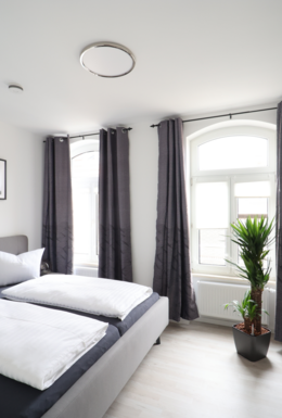 Helles Schlafzimmer mit modernem Doppelbett, Grünpflanze und großen Fenstern mit Vorhängen