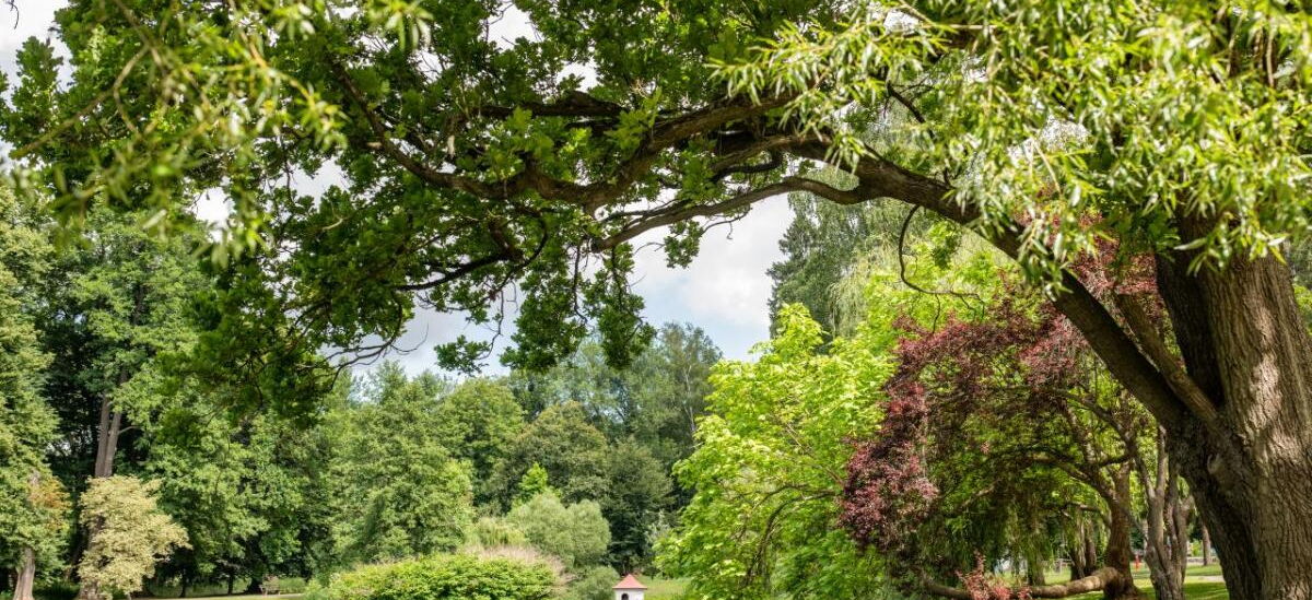 Elisabethpark Bad Liebenstein
