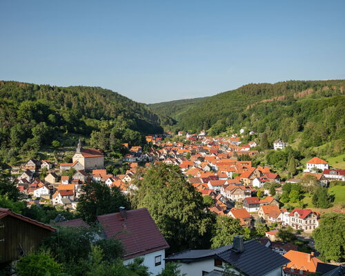Panoramabild vom Berg aus auf Steinbachs Dachlandschaft