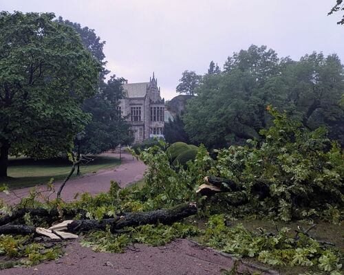Unwetter Schlosspark Altenstein