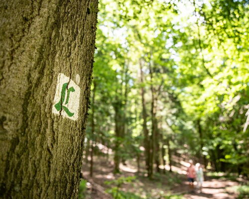 Lutherweg