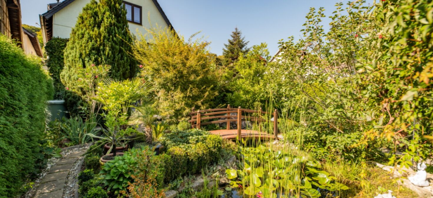 Außenaufnahme Gebäude Ferienwohnung Waldblick und Teich mit Brücke