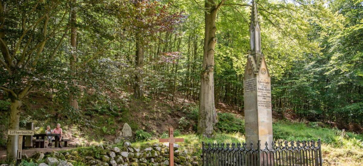 Landschaftsaufnahme mit Lutherdenkmal, Informationskreuz, Lutherbuche und Sitzbank im Glasbachgrund