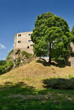 Landschaftsaufnahme mit Blick auf die Burgruine