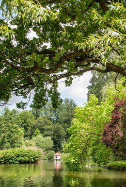 Landschaftsaufnahme Elisabethpark mit Teich, Entenhaus und Bäumen