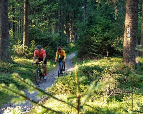 Zwei Radfahrer mit Gravelbike auf einem Trail am Rennsteig im Thüringer Wald