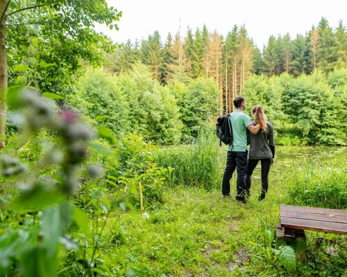 Landschaftsaufnahme im Stillen Tal mit Pärchen und Sitzbank