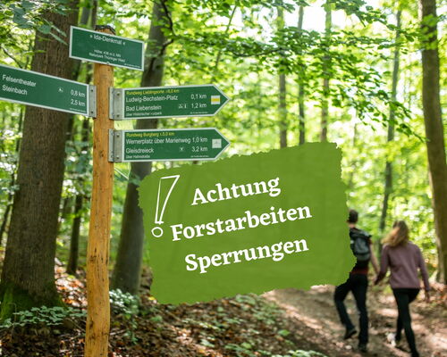 Wegweiser und Wanderer im Wald darübergelagert Text: Achtung Forstarbeiten Sperrungen