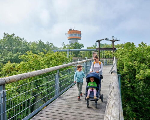 Familie mit Kinderwagen auf dem barrierefreien Baumkronenpfad im Nationalpark Hainich. Im Hintergrund der Aussichtsturm.