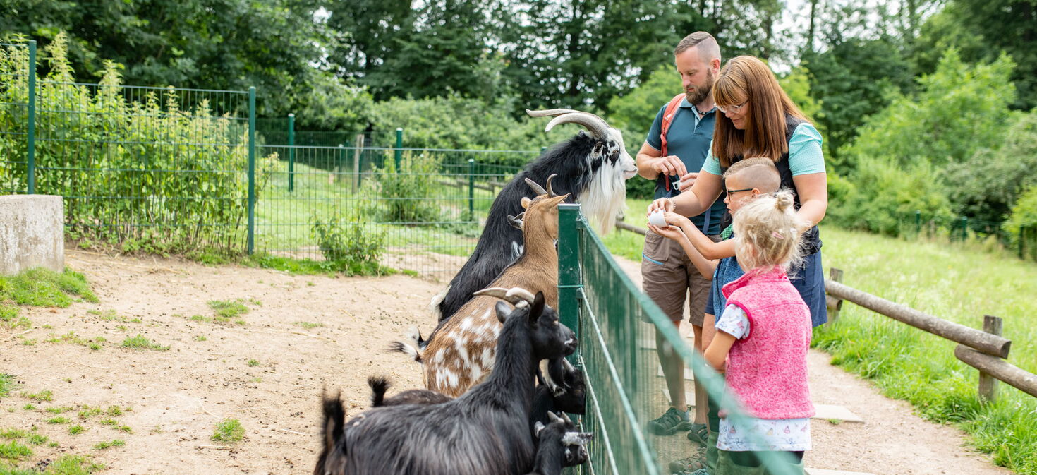Eine Familie im Tierpark Bad Liebenstein