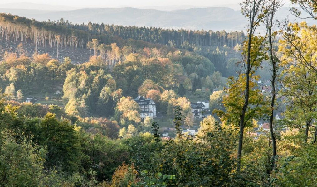 Blick auf den Aschenberg - Bad Liebenstein