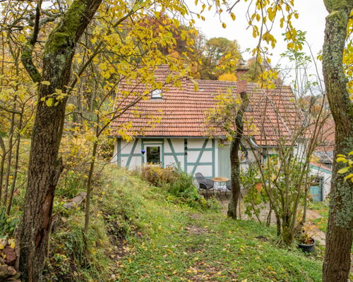 Außenaufnahme Ferienhaus im Grünen mit wäldlicher Umgebung