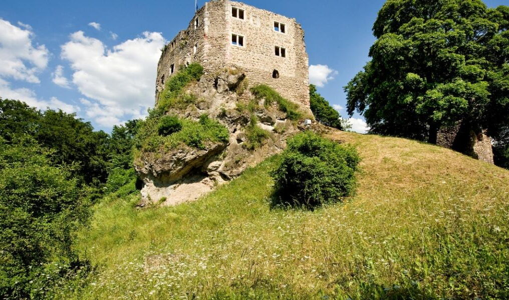 Burgruine - Bad Liebenstein