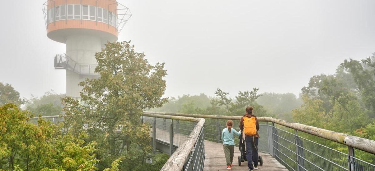 Familie auf dem Baumkronenpfad im Nationalpark Hainich im Nebel. Im Hintergrund der Aussichtsturm.