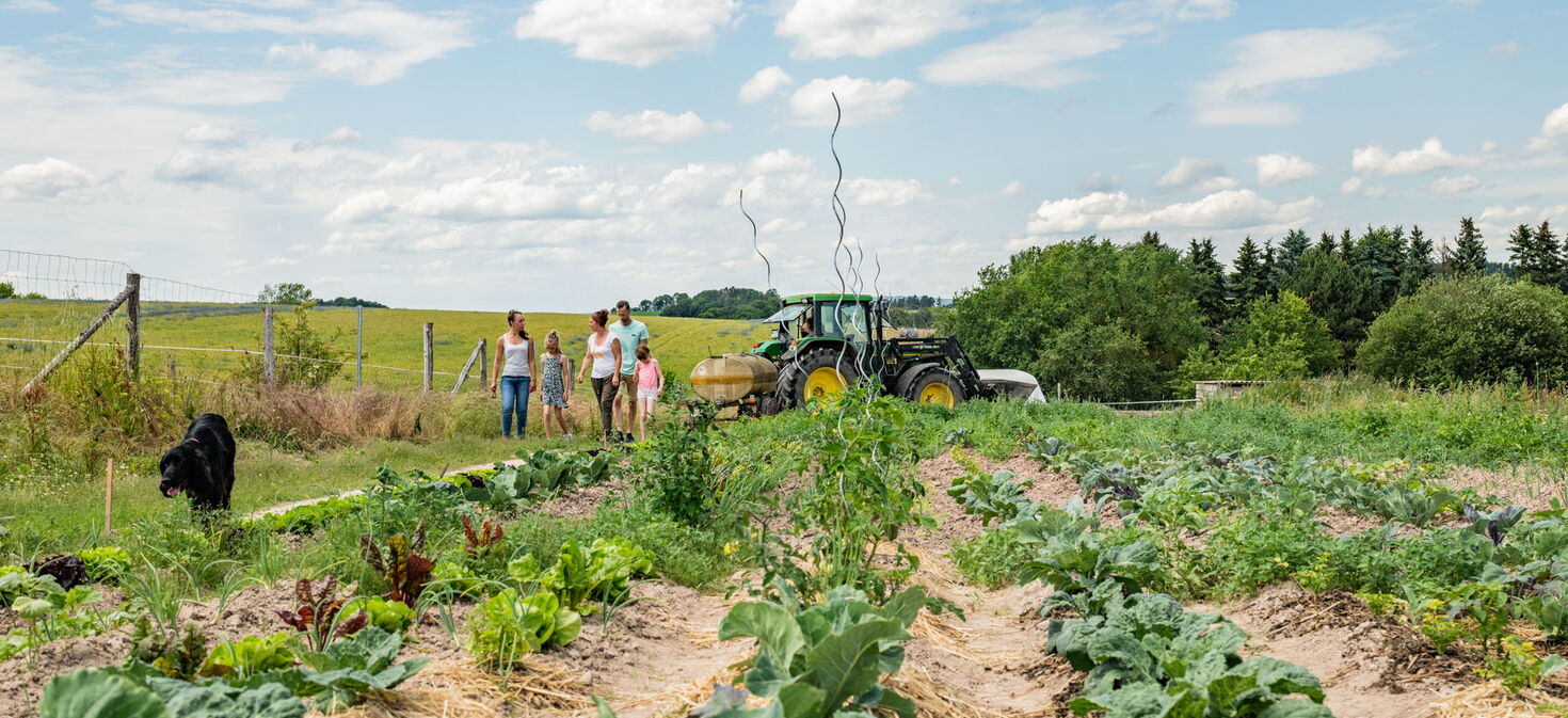 Feld mit Salat und Kohl, Hund, Erwachsenen, Kindern und Traktor im Hintergrund