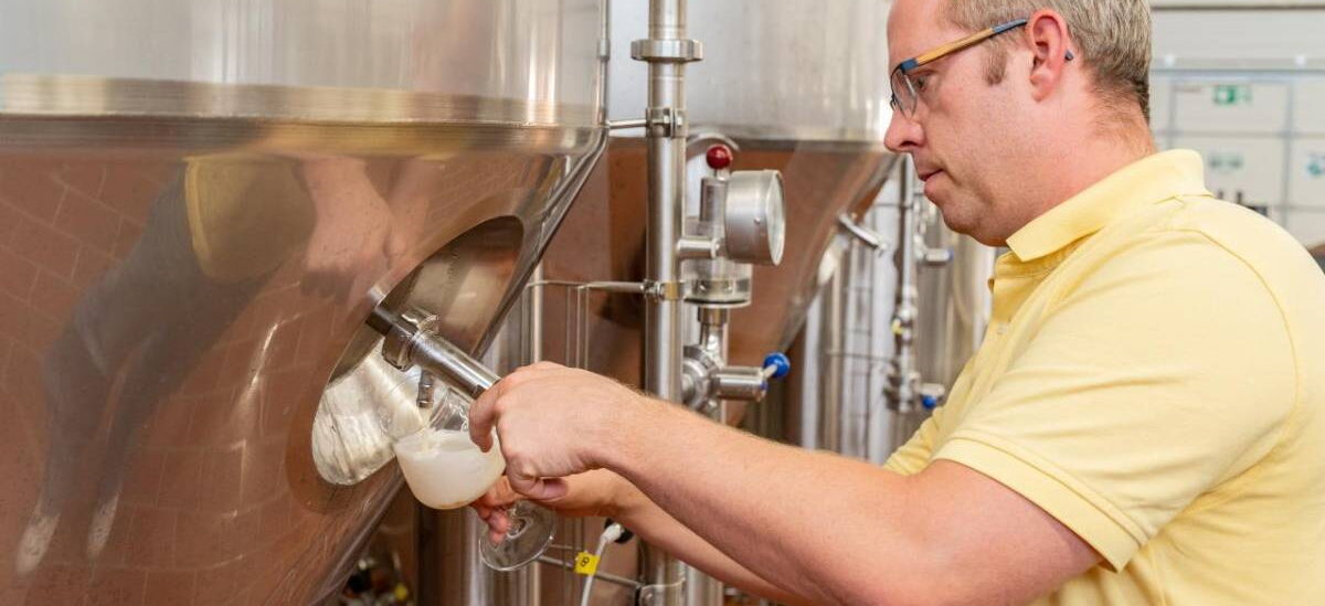 Abzapfen eines Glases Bier aus der Zapfanlage in der Stupps Brauerei