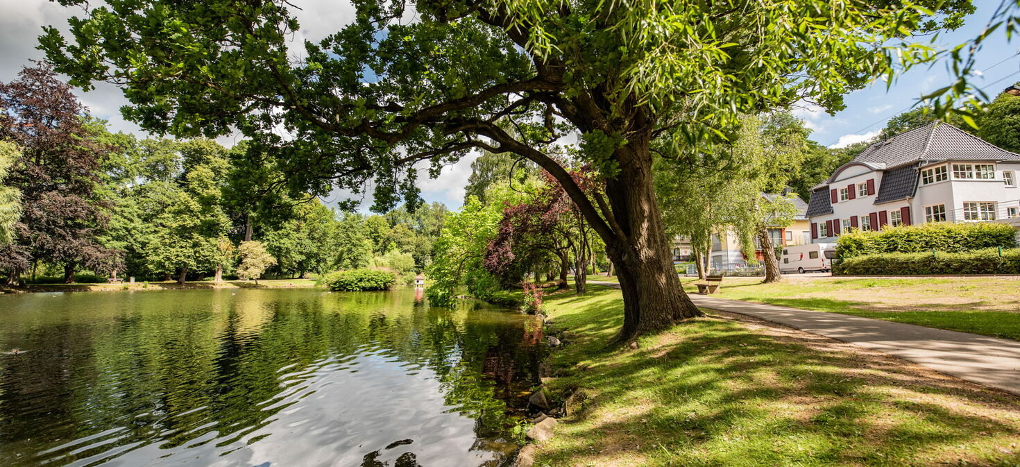 Teich und Uferbäume im Elisabethpark, ganz rechts noch Wohngebäude sichtbar