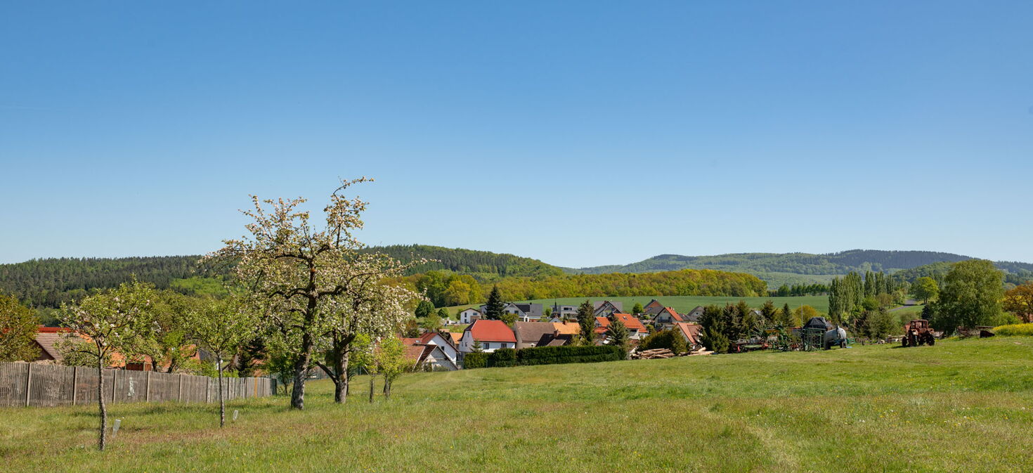 große Wiese mit Obstbäumen am Rand und Blick auf einige Dächer von Meimers, im Hintergrund Berge