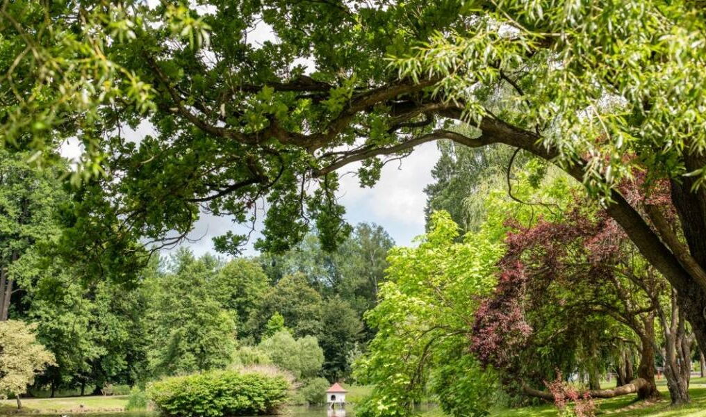 Elisabethpark Bad Liebenstein